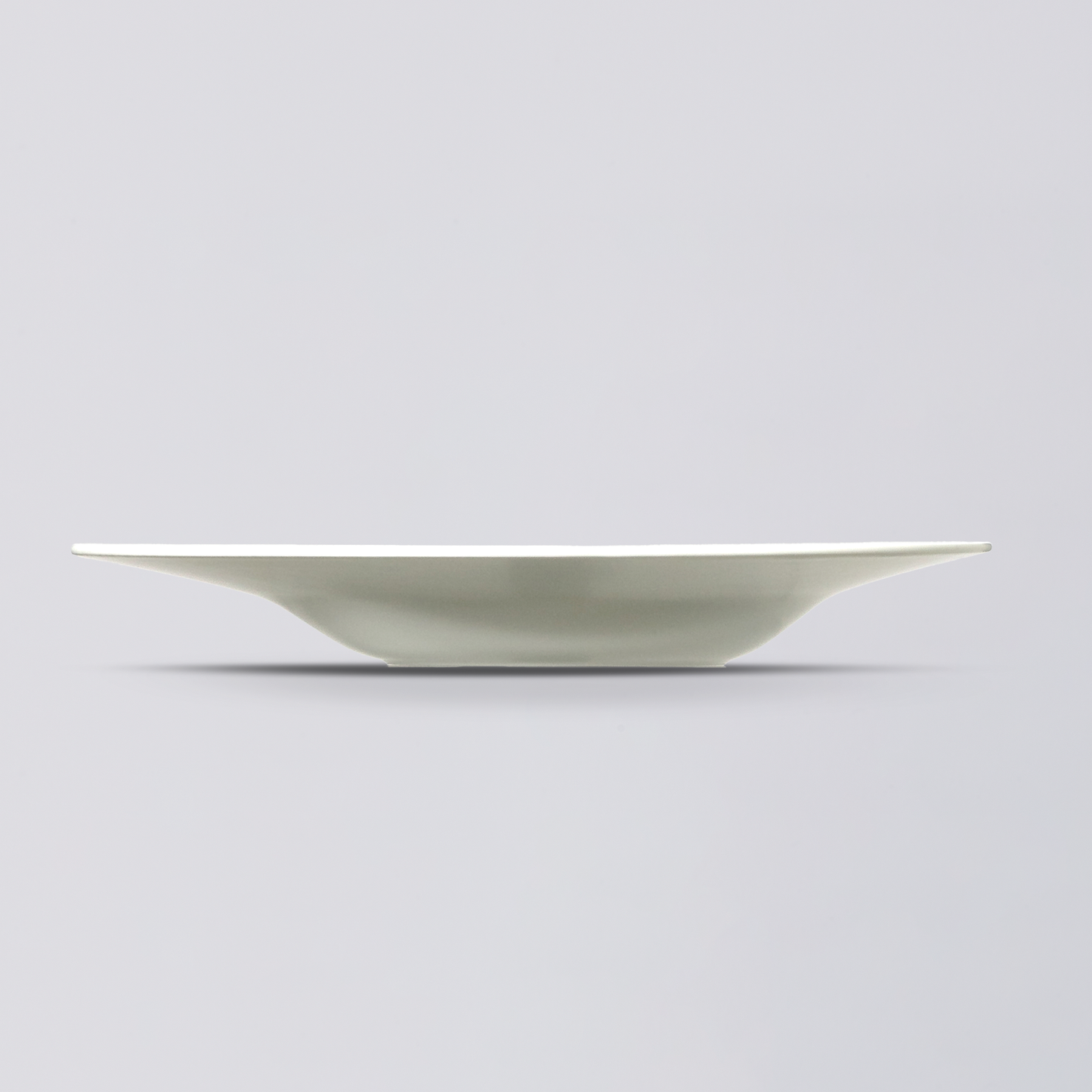 Yuki MIKAMI × HEGE Over Plate for φ250